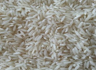 قیمت خرید برنج طارم هاشمی + تست کیفیت