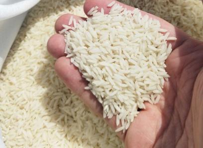قیمت خرید برنج طارم هاشمی + عکس